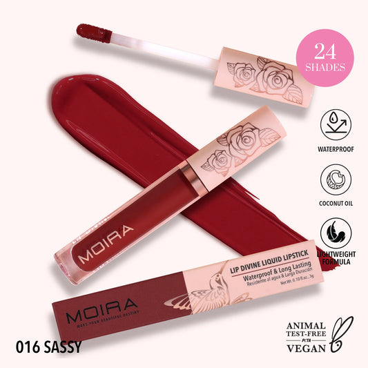 Lip Divine Liquid Lipstick (LDV016, Sassy) 3pc Bundle