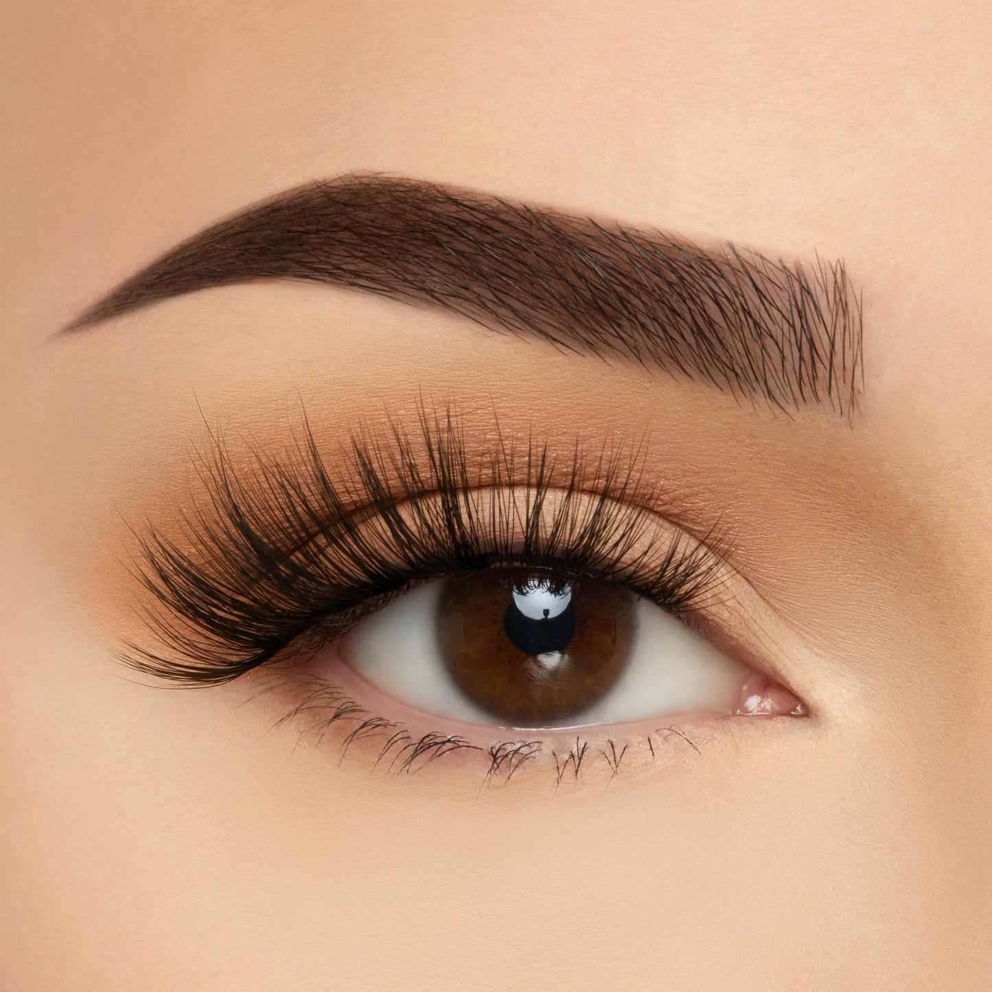 ELTS11 Hollywood 10pc Set - BC Take Me Somewhere Soft Silk Lashes