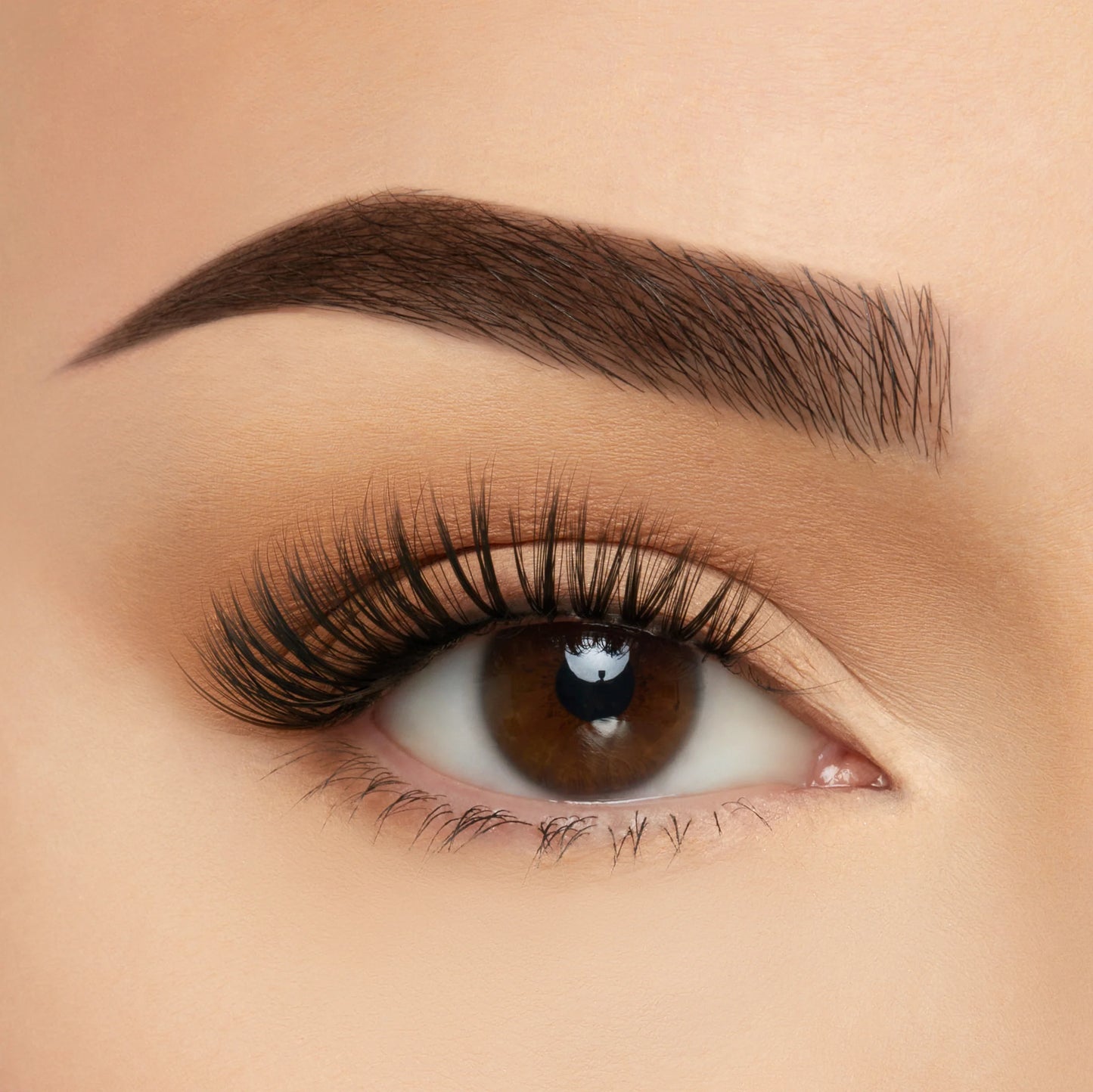 ELTS12 Barcelona 10pc Set - BC Take Me Somewhere Soft Silk Lashes