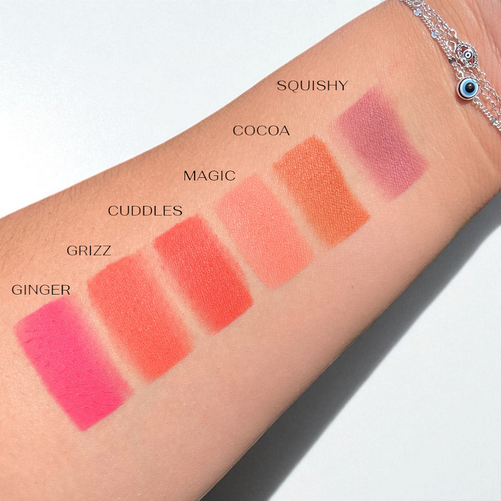 BL3120MIX Amuse Cuddle Cheeks Blush Display