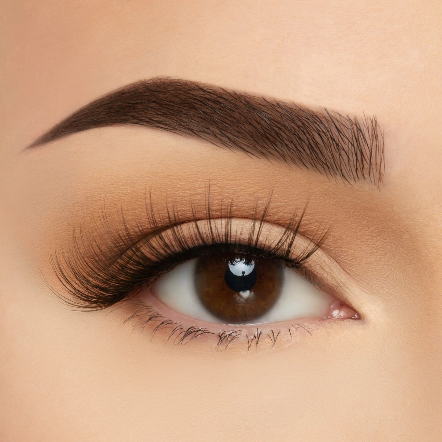 ELTS04 Havana 10pc Set - BC Take Me Somewhere Soft Silk Lashes