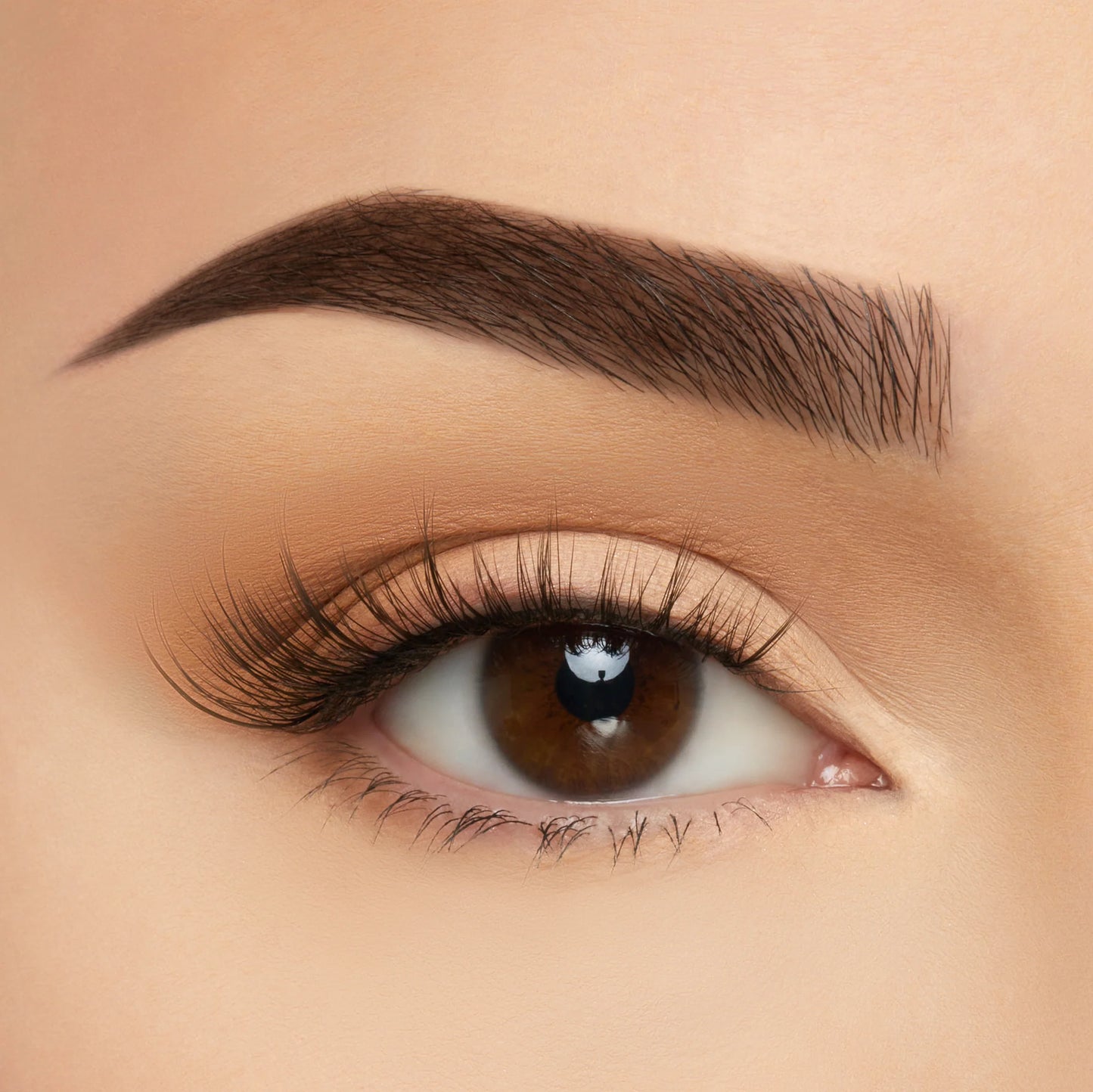 ELTS18 Tulum 10pc Set - BC Take Me Somewhere Soft Silk Lashes