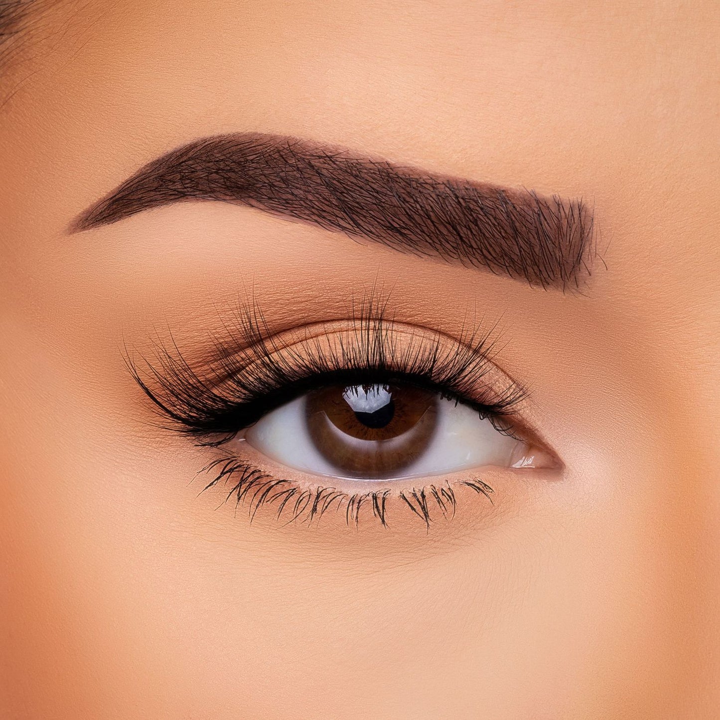 Clap Back - 3D Faux Mink Lashes 1PC