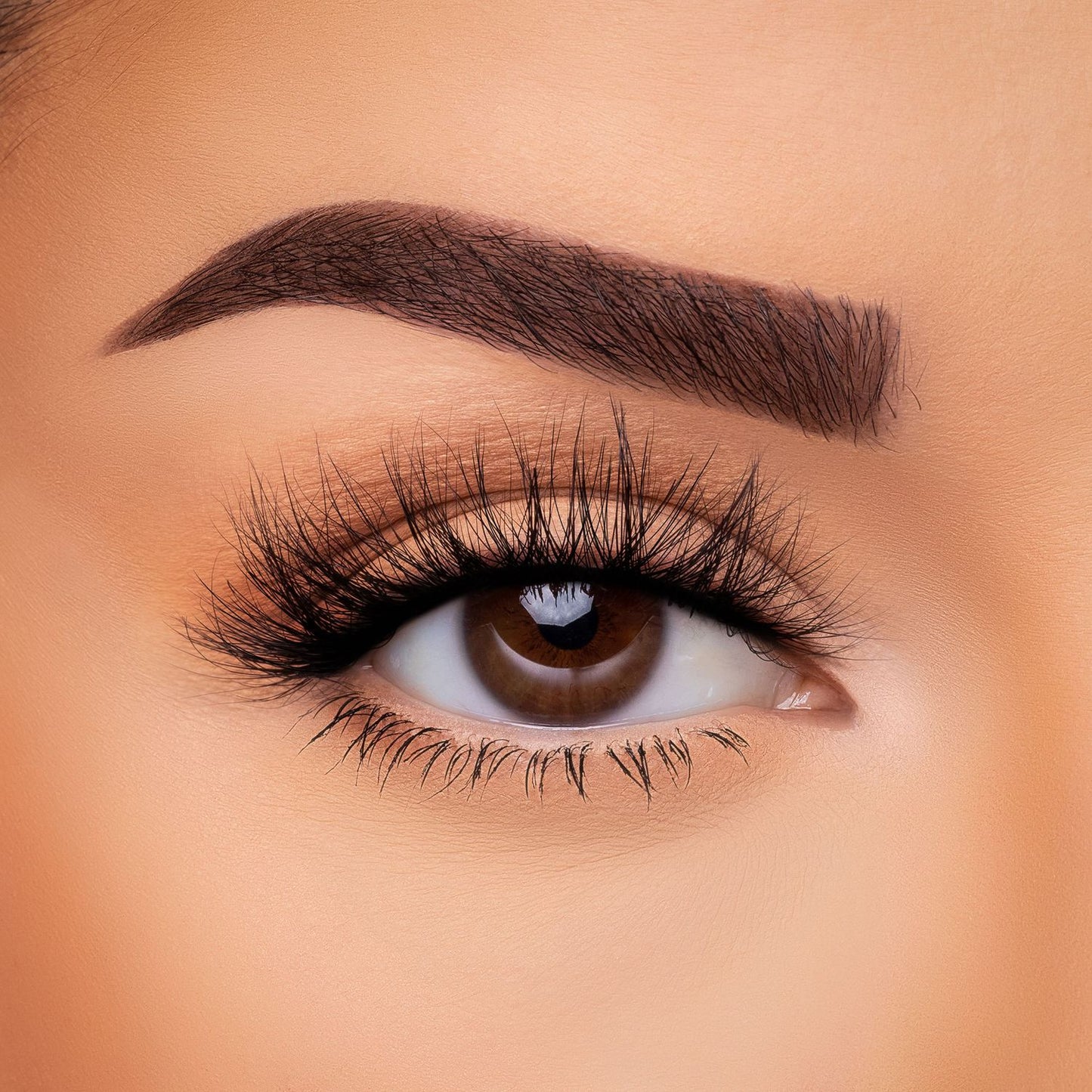 Please Explain - 3D Faux Mink Lashes