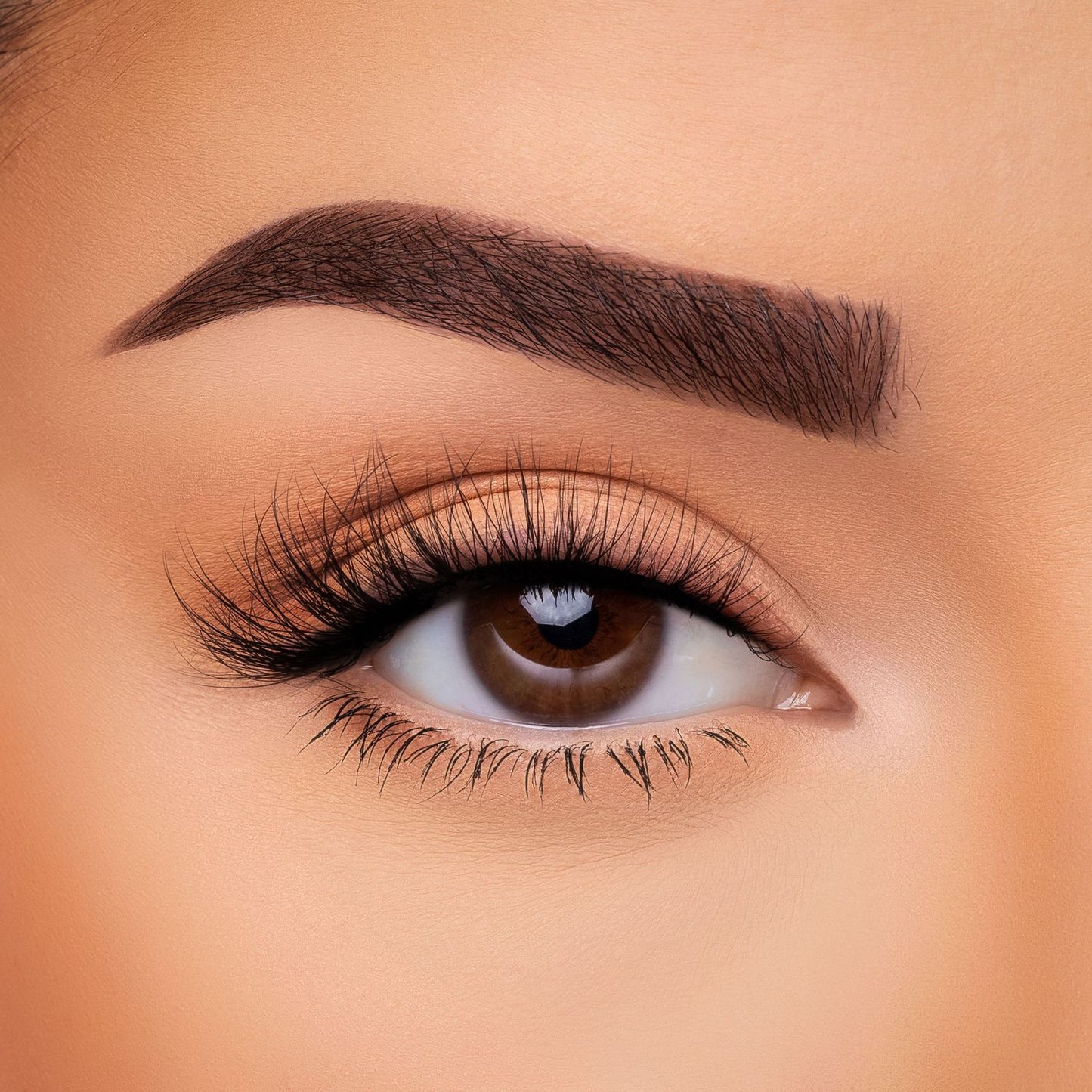 Expensive - 3D Faux Mink Lashes
