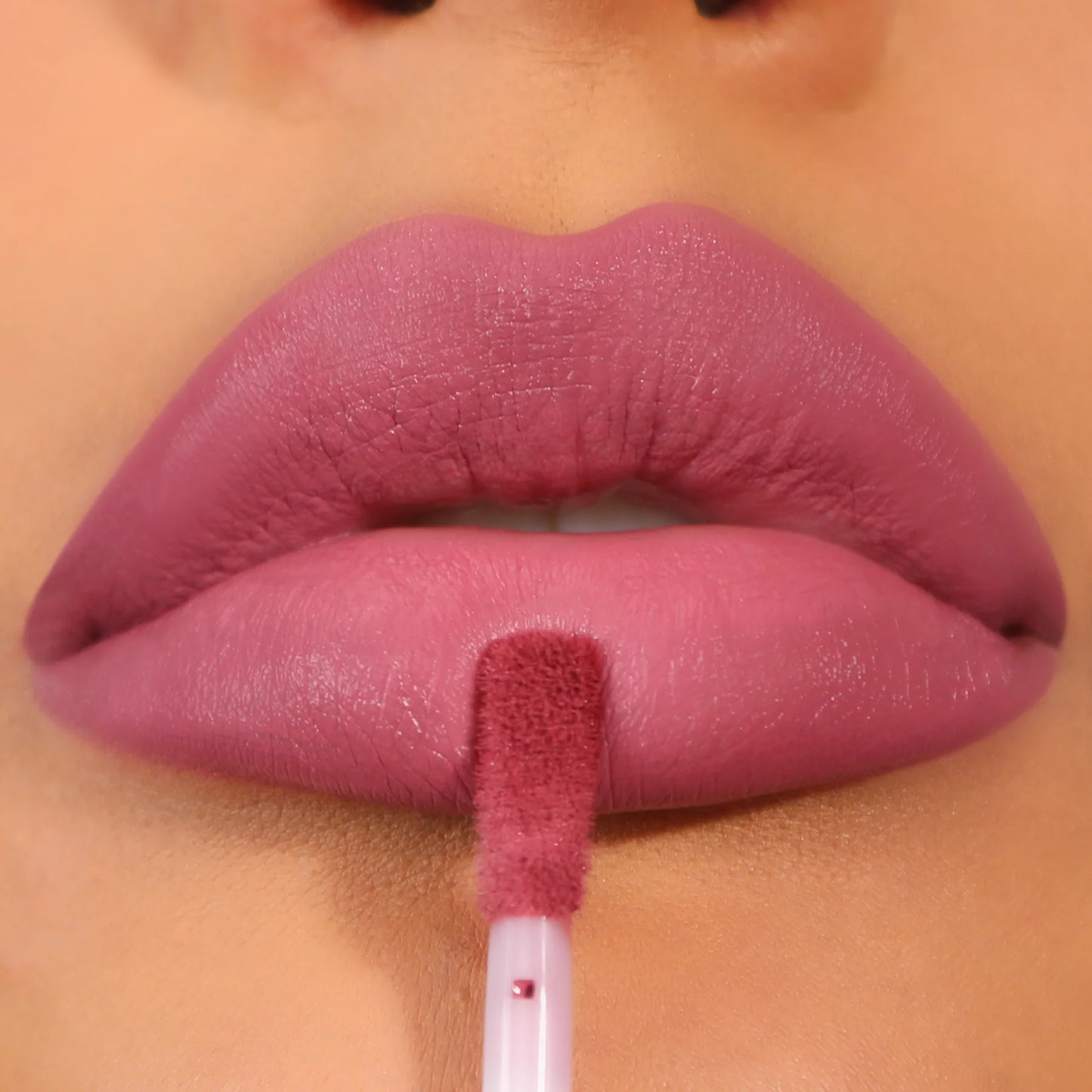 Lip Divine Liquid Lipstick (LDV022, Rarest) 3pc Bundle