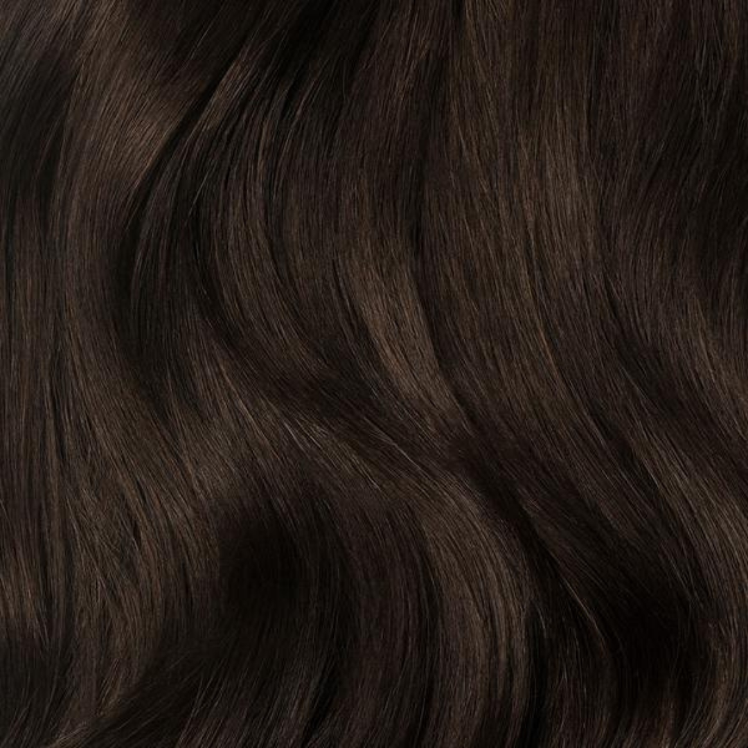 Argan Oil Powerful Long-lasting Hair Dye Color Shampoo 500ml Shampoo Tinte