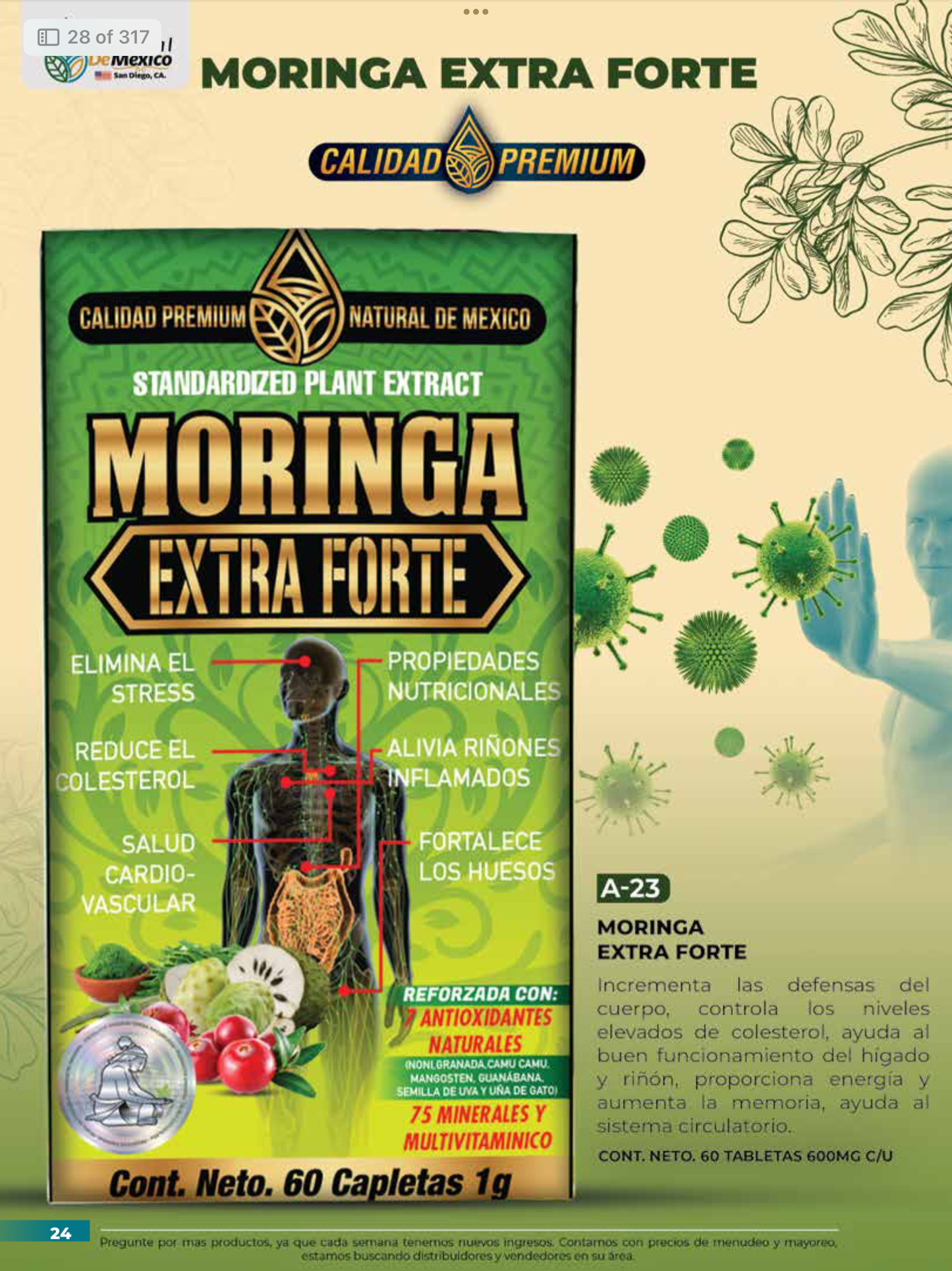 A-23 Moringa Extra Forte Cont. 60 Capletas