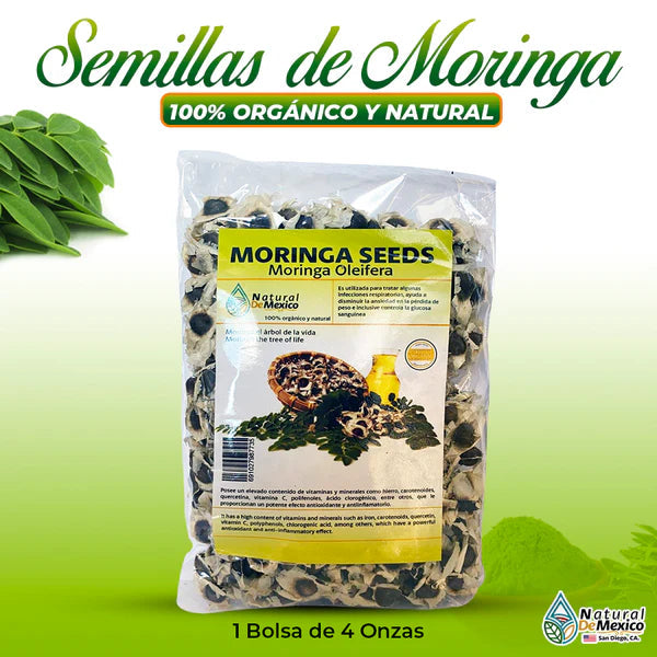 AE-124 Semillas de Moringa Calidad Premium