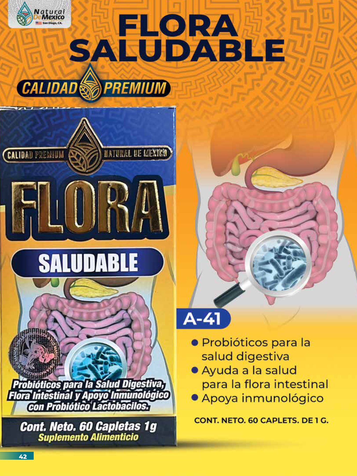 A-41 Flora Saludable Cont. 60 Capletas