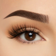 Load image into Gallery viewer, ELTS11 Hollywood - BC Take Me Somewhere Soft Silk Lashes
