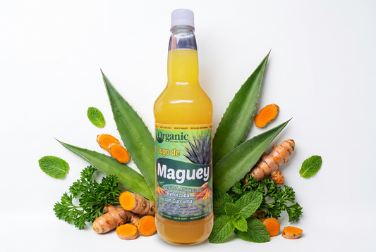 Jugo De Maguey Bebida Ancestral  Reforzado Con Curcuma 1LT
