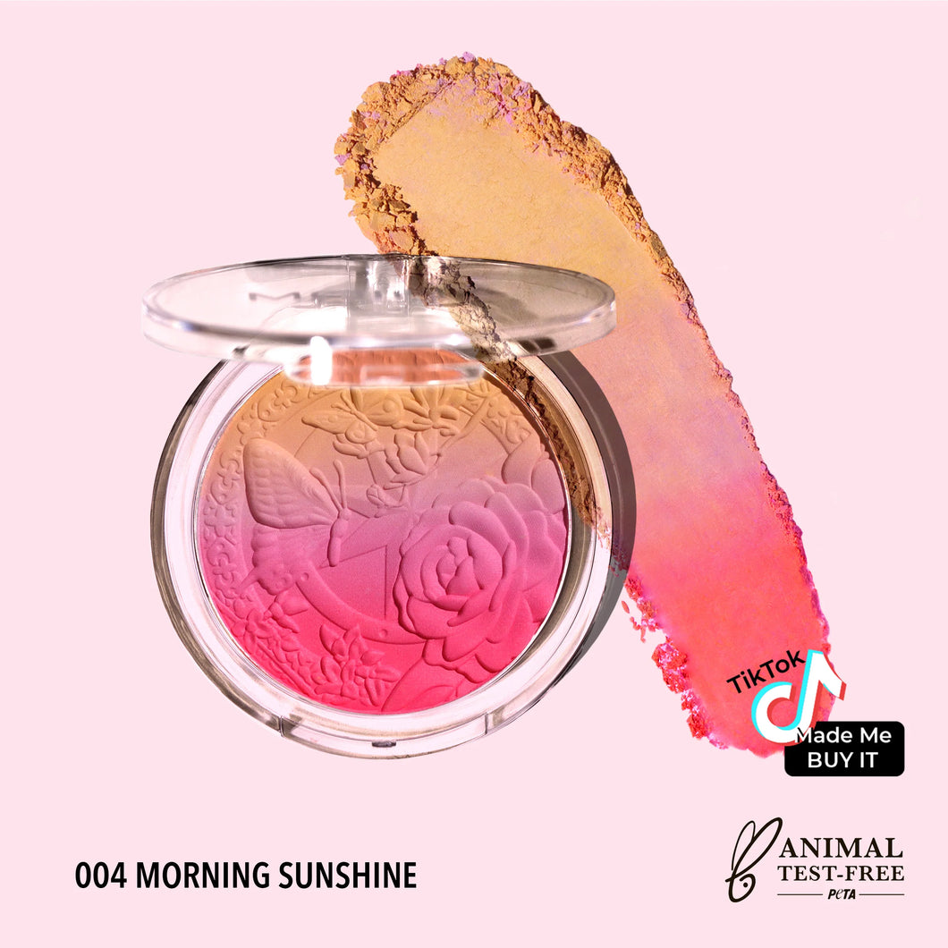 004 Morning Sunshine - Signature Ombre Bush 3pc Set