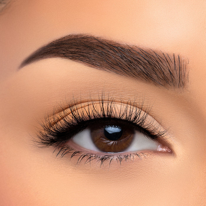 Timid - Casual 3D Faux Mink Lashes